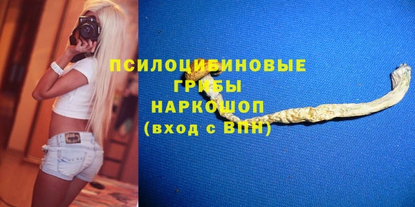 хмурый Верхний Тагил