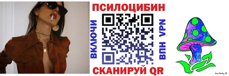 Псилоцибиновые грибы Psilocybine cubensis гидра ТОР Нерехта закладка